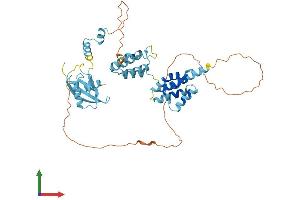 AlphaFold protein structure predicition of Human Recombinant PNMA5 Protein, UniprotID Q96PV4