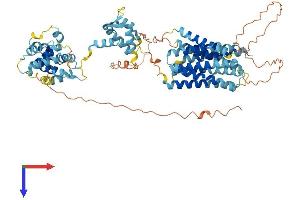 AlphaFold protein structure predicition of Mouse Recombinant Slc39a12 Protein, UniprotID Q5FWH7