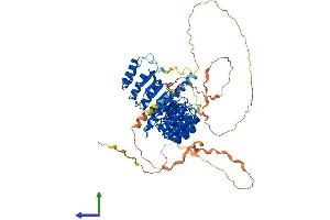 AlphaFold protein structure predicition of Human Recombinant PPP1R37 Protein, UniprotID O75864