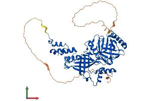 AlphaFold protein structure predicition of Human Recombinant FBXO31 Protein, UniprotID Q5XUX0
