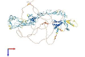 AlphaFold protein structure predicition of Mouse Recombinant Nfx1 Protein, UniprotID B1AY10