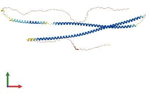 AlphaFold protein structure predicition of Mouse Recombinant Krt85 Protein, UniprotID Q9Z2T6