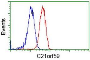 Flow cytometric Analysis of Jurkat cells, using anti-C21orf59 antibody (ABIN2453835), (Red), compared to a nonspecific negative control antibody, (Blue). (C21orf59 anticorps)