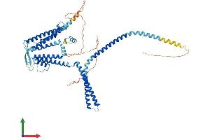 AlphaFold protein structure predicition of Human Recombinant KCNN2 Protein, UniprotID Q9H2S1