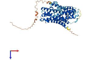 AlphaFold protein structure predicition of Human Recombinant SLC36A2 Protein, UniprotID Q495M3