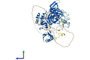 AlphaFold protein structure predicition of Human Recombinant UHRF2 Protein, UniprotID Q96PU4
