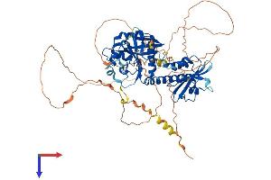AlphaFold protein structure predicition of Mouse Recombinant Rap1gap Protein, UniprotID A2ALS5
