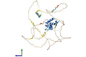 AlphaFold protein structure predicition of Human Recombinant FOXG1 Protein, UniprotID P55316