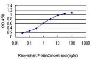 Detection limit for recombinant GST tagged YY1 is approximately 0.