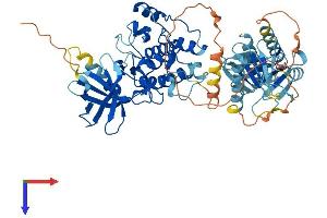 AlphaFold protein structure predicition of Mouse Recombinant Plk5 Protein, UniprotID Q4FZD7