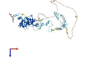 AlphaFold protein structure predicition of Human Recombinant TSEN54 Protein, UniprotID Q7Z6J9