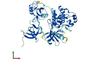 AlphaFold protein structure predicition of Human Recombinant PTK6 Protein, UniprotID Q13882