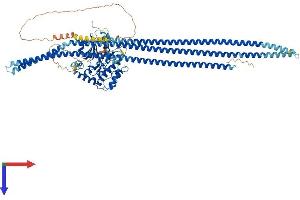 AlphaFold protein structure predicition of Mouse Recombinant Taok3 Protein, UniprotID Q8BYC6