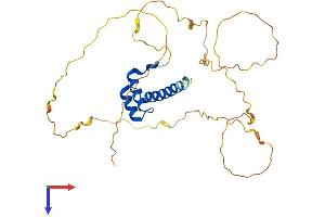 AlphaFold protein structure predicition of Mouse Recombinant Hoxb13 Protein, UniprotID P70321