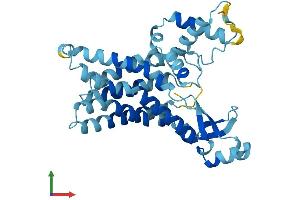AlphaFold protein structure predicition of Mouse Recombinant Sfxn2 Protein, UniprotID Q925N2