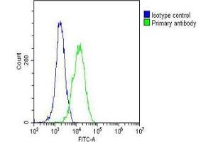 Overlay histogram showing U-2OS cells stained with (ABIN6242352 and ABIN6577162)(green line).