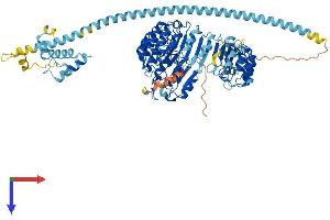 AlphaFold protein structure predicition of Mouse Recombinant Fbxl13 Protein, UniprotID Q8CDU4