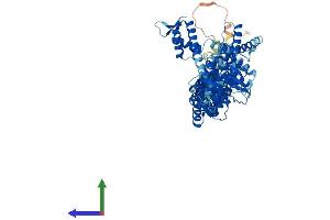 AlphaFold protein structure predicition of Mouse Recombinant Cul1 Protein, UniprotID Q9WTX6