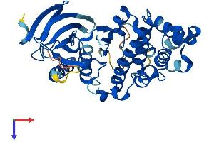 AlphaFold protein structure predicition of Mouse Recombinant Mapk11 Protein, UniprotID Q9WUI1