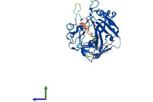 AlphaFold protein structure predicition of Human Recombinant CA10 Protein, UniprotID Q9NS85