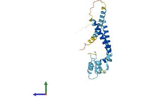AlphaFold protein structure predicition of Mouse Recombinant rp9 Protein, UniprotID P97762
