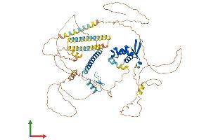 AlphaFold protein structure predicition of Human Recombinant FOXP1 Protein, UniprotID Q9H334