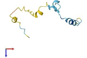 AlphaFold protein structure predicition of Mouse Recombinant Camk2n1 Protein, UniprotID Q6QWF9