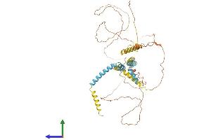 AlphaFold protein structure predicition of Human Recombinant RTN2 Protein, UniprotID O75298