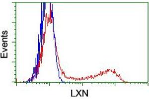 HEK293T cells transfected with either RC202769 overexpress plasmid (Red) or empty vector control plasmid (Blue) were immunostained by anti-LXN antibody (ABIN2455184), and then analyzed by flow cytometry. (Latexin anticorps)