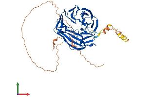 AlphaFold protein structure predicition of Human Recombinant WIPI1 Protein, UniprotID Q5MNZ9