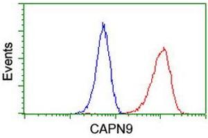 Image no. 5 for anti-Calpain 9 (CAPN9) antibody (ABIN1497090) (Calpain 9 anticorps)