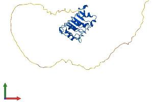 AlphaFold protein structure predicition of Human Recombinant ANP32E Protein, UniprotID Q9BTT0