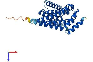 AlphaFold protein structure predicition of Human Recombinant YWHAB Protein, UniprotID P31946