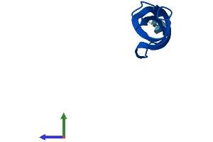 AlphaFold protein structure predicition of Mouse Recombinant Mrpl33 Protein, UniprotID Q9CQP0
