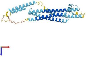 AlphaFold protein structure predicition of Human Recombinant STX11 Protein, UniprotID O75558