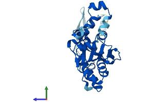 AlphaFold protein structure predicition of Human Recombinant ACTL10 Protein, UniprotID Q5JWF8