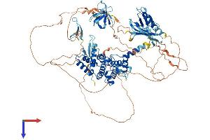 AlphaFold protein structure predicition of Mouse Recombinant Arhgap27 Protein, UniprotID A2AB59