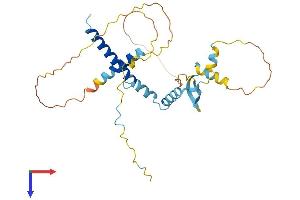AlphaFold protein structure predicition of Mouse Recombinant Cfdp1 Protein, UniprotID O88271