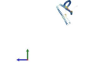AlphaFold protein structure predicition of Mouse Recombinant Gas8 Protein, UniprotID Q60779