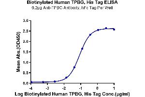 Immobilized Anti-TPBG Antibody, hFc Tag at 2 μg/mL (100 μL/well) on the plate.