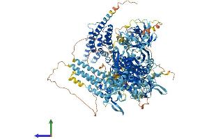 AlphaFold protein structure predicition of Human Recombinant PREX2 Protein, UniprotID Q70Z35