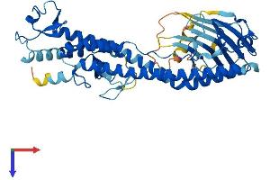AlphaFold protein structure predicition of Human Recombinant TRIM49B Protein, UniprotID A6NDI0