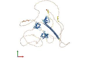 AlphaFold protein structure predicition of Mouse Recombinant Cd2ap Protein, UniprotID Q9JLQ0