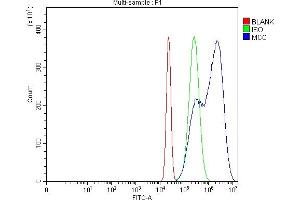 Flow Cytometry analysis of Hela cells using anti-MCC antibody (ABIN7599132).