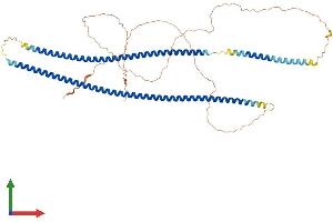 AlphaFold protein structure predicition of Mouse Recombinant Krt6b Protein, UniprotID Q9Z331