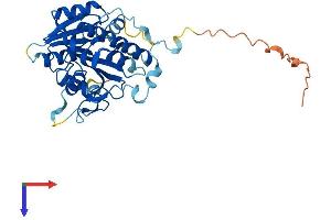 AlphaFold protein structure predicition of Human Recombinant FTSJ1 Protein, UniprotID Q9UET6