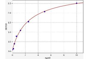 Chitotriosidase (CHIT1) ELISA Kit