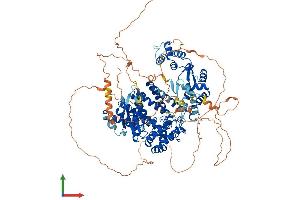 AlphaFold protein structure predicition of Mouse Recombinant Fan1 Protein, UniprotID Q69ZT1