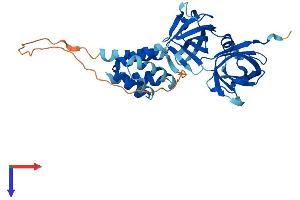 AlphaFold protein structure predicition of Human Recombinant AIM2 Protein, UniprotID O14862