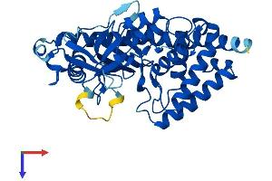 AlphaFold protein structure predicition of Human Recombinant MAB21L1 Protein, UniprotID Q13394